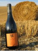 L'Enclos